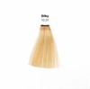 Silky color  10.31
