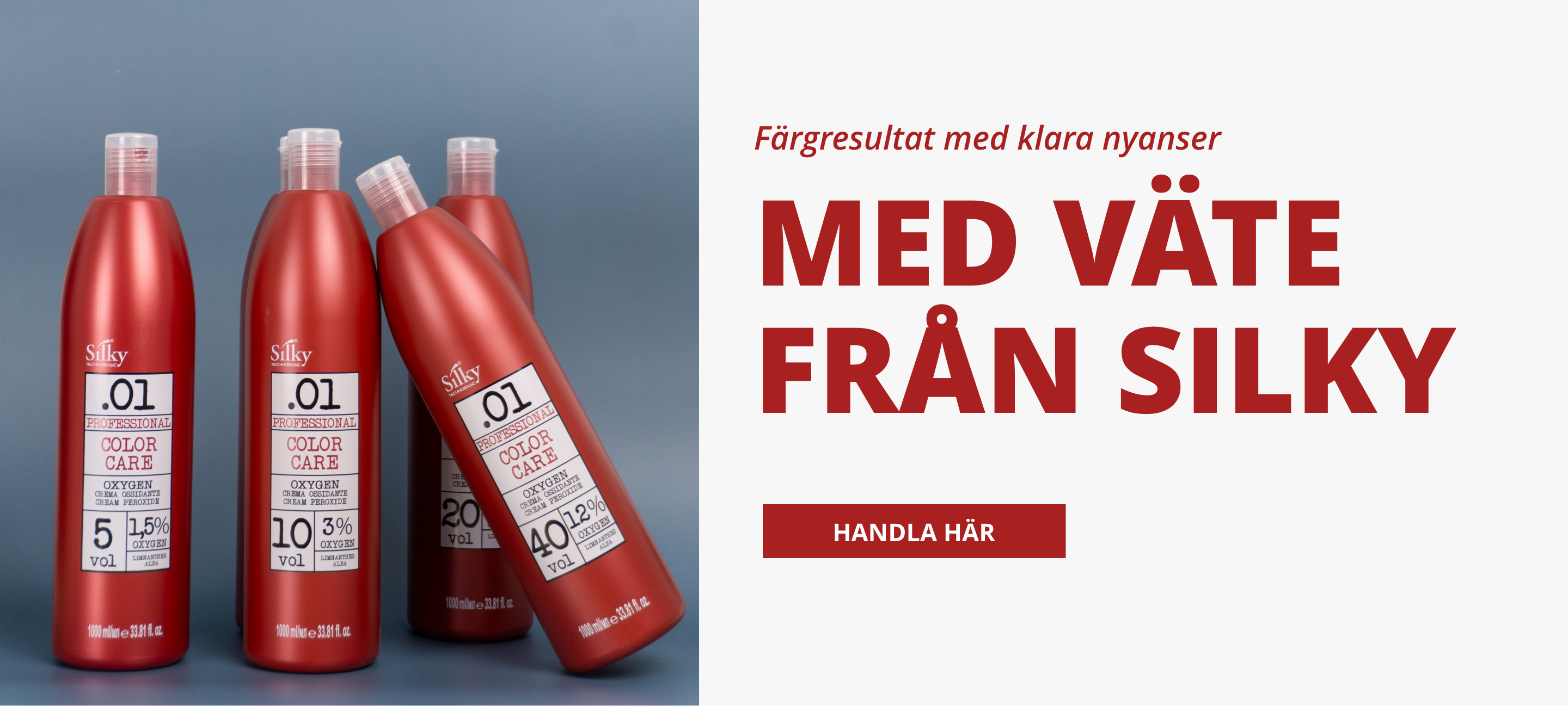 Annons:BAN10 Silky-BANNERokdec.png